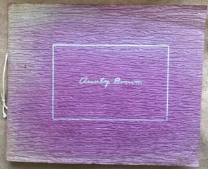 ca.1903 Lucinda White Brown AUNTIE BROWN, Universalist Church HISTORY, Genealogy - Picture 1 of 11