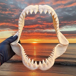 Shark Jaws 30cm 3d Printed Great White Replica Mini Megalodon Ornament - Picture 1 of 5