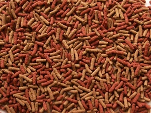 Cichliden mix Sticks klein 500ml Barschfutter Zierfischfutter Aquarium Futter - Bild 1 von 1