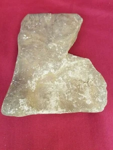 Louisiana State Shaped Rock Specimen Natural Large Display found in IA FREE SHIP - Bild 1 von 12