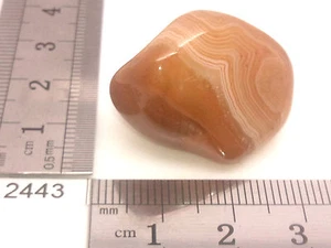 Agate rouge 12g pierre roulée mineraux lithotherapie reiki collection esoterisme - Picture 1 of 2