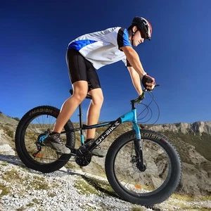 Fat Tire Bike, 26-Inch Wheels, 21-Speed, Steel Frame - Picture 1 of 5