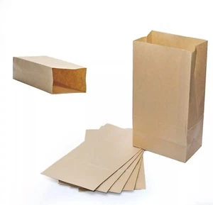Paper Lunch Bags - 6# - 6" x 3.5" x 11" - 500 Count Package - Brown Paper Bags - Picture 1 of 1