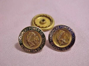 Michigan Consumers Power Company Service Pins - Bild 1 von 4