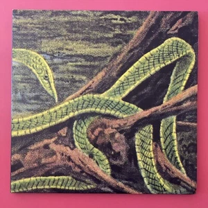Rainforest Spiritual Enslavement - Green Graves - 3x LP - Moss Green Vinyl Indie - Picture 1 of 9