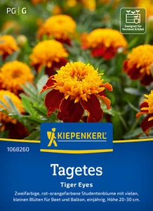 Kiepenkerl Blumensamen Tagetes Tiger Eyes, für ca 70 Pflanzen - reichblühend - Bild 1 von 5