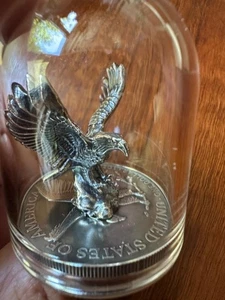 USA 2024 5$ American Eagle-EAGLE 1 oz moneta d'argento esclusiva - Foto 1 di 5