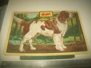 Letrero de cartón colgante o de pie publicidad Goebel Beer 3D 1953 Spaniel - Imagen 1 de 7