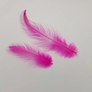 FUCHSIA ROOSTER / COCK HACKLE 50 FEATHERS FROM FLYNSCOTSMAN TACKLE LOOSE NO CAPE - Picture 1 of 3