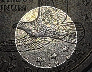 Rare 2000-D Sacagawea Dollar Circulated Error Coin - Picture 1 of 5