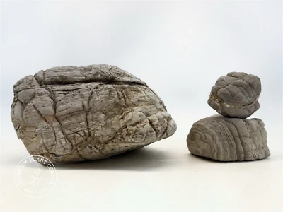 Piedra de piel de elefante (bronceado) / acuario plantado / decoración / paisaje duro Foto 1 de 4
