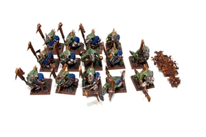 Warhammer Lizardmen Seraphon Saurus Guard Well Painted JYS61 - Picture 1 of 4