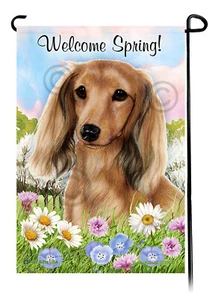 Welcome Spring Garden Flag - English Cream Longhair Dachshund - Picture 1 of 1