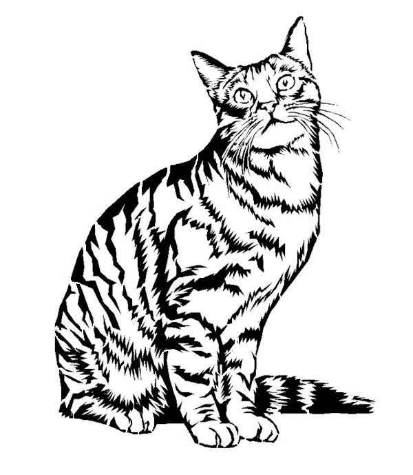 STENCILS CRAFTS TEMPLATES SCRAPBOOKING CAT STENCIL 2b - A4 MYLAR Foto 1 de 1