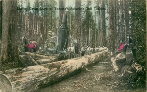 LOGGING SZENE, TACOMA WASHINGTON, VINTAGE POSTKARTE (W790) - Bild 1 von 2