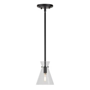 Forte Lighting Beaker 1 Light Mini Pendant, Black/Clear - 2733-01-04 - Picture 1 of 1