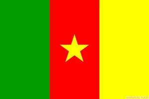 CAMEROON FLAG 3X2 feet 90cm x 60cm FLAGS - Picture 1 of 1