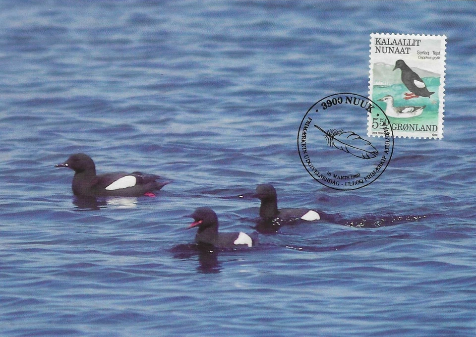 Maxi Guillemot Bird Cepphus Grylle Groenlandia Como Nuevo FDC 1989 Foto 1 de 1