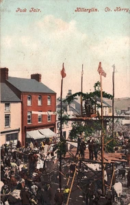 Puck Fair Killorglin Kerry Ireland Postcard - Foto 1 di 2