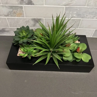 Prato artificial suculento jardim em madeira preta 12 polegadas - Imagem 1 de 4