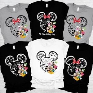 Custom Disney Trip Shirts, Disneyland Shirts, Disney Family Trip Shirt 2025 - Picture 1 of 2