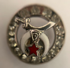 Masonic Shrine 1/2" Silver tone Lapel Hat Fez Pin with 14 Rhinestone