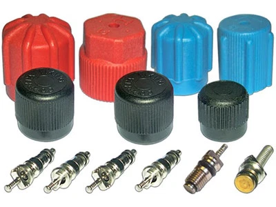 For 1988-1991 Pontiac Optima A/C System Valve Core and Cap Kit 93491PHMM 1989 - Image 1 of 2