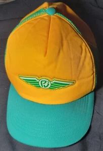Cappello berretto ufficiale Pearl Jam 2003 Latin American Tour RIOT ACT NON poster Missoula - Foto 1 di 10