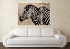 Large Zebra Zoo Wildlife Stripes Pet Animal Safari Wall Poster Art Picture Print