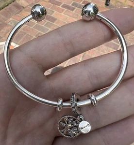 PANDORA Pandora Sterling Silver 925 14k 585 ALE Family Tree Charm & Bracelet - Picture 1 of 19