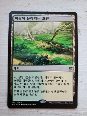 [MTG] Windswept Heath - Khans of Tarkir, Korean - Magic the Gathering LP - Image 1 of 2