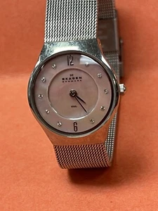 Skagen Stainless Steel MOP Face Mesh Band Diamond Markers - Picture 1 of 5