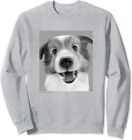 Sweat-shirt THE DOG Artist Collection S,M,L,XL,2XL Shetland Sheepdog gris
