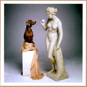 SIGNED - WILLIAM WEGMAN - ON BASE IPHIGENIE & TAURIDE LTD 6" x 6" MAGNUM PRINT - Picture 1 of 2