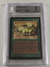 Graded Thicket Basilisk BGS Beckett 9 MINT (9, 9, 9, 8.5) Beta Limited 1993 MTG!