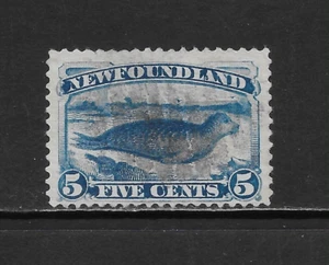 NEWFOUNDLAND SCOTT 55 USATO FINE - 1894 5c BRT EDIZIONE BLU (B7) - SIGILLO ARPA - Foto 1 di 2