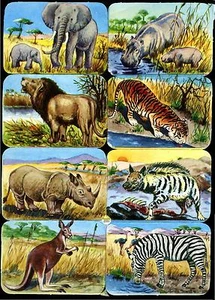 #Feuilles Chromos# Age Courbé Eas 3105,Animaux Sauvages,Wilde (Sauvage) - Bild 1 von 1