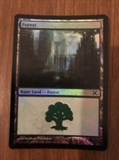 Forest X1 Foil Basic Land Tenth Edition Set 383/383 Moderate Play MTG