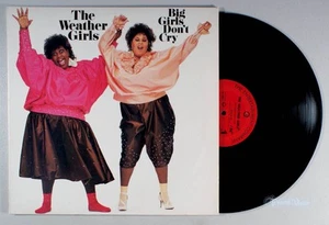 Weather Girls - Big Girls Don't Cry (1985) Vinyl LP • Well-A-Wiggy, Martha Wash - Imagen 1 de 2