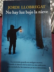 No hay luz bajo la nieve, de Jordi Llobregat - Imagen 1 de 2