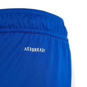 adidas Tiro 24 Shorts Kids Blue Football Soccer Sport Youth Shorts IR9366 - Picture 1 of 3