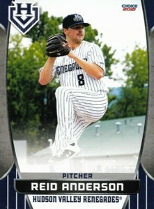 2021 Hudson Valley Renegades Reid Anderson New York Yankees