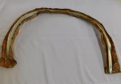 Nuevo de Lote Original Ford 1979 1980 Pinto Rueda Delantera Labio Apertura Moldura Arco Borde Foto 1 de 4