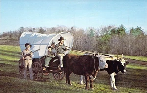 NC Granite Falls Steers in yugo Ike & Bud vagón cubierto Dave Bryant postal N78 - Imagen 1 de 2