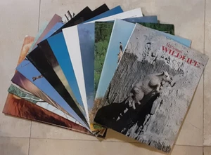 National Wildlife Magazine : Vintage : Lot of 12 : April/May 1978 - Feb/Mar 1980 - Picture 1 of 13