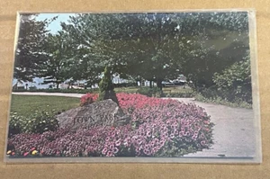 POSTCARD UNUSED - TOWN PARK OVERLOOKING THE HARBOR, WOLFEBORO, N.H. - Picture 1 of 2