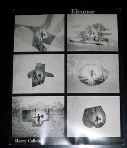 Eleanor - Picture 1 of 1