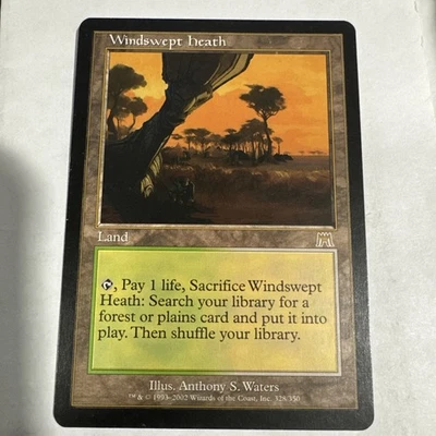 Windswept Heath (1) Onslaught MTG Excellent/LP 4RCards - Image 1 of 4
