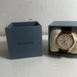 Skagen Denmark Holst SKW 6066 Stainless Steel Water Resistant Analog Watch - Picture 1 of 12