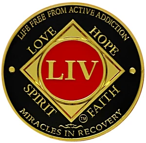 NA 54 Year Red, Gold Color Plated Medallion, Narcotics Anonymous Medallion - Picture 1 of 2